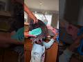 Detanling Hair Brush #shorts @TechzWar