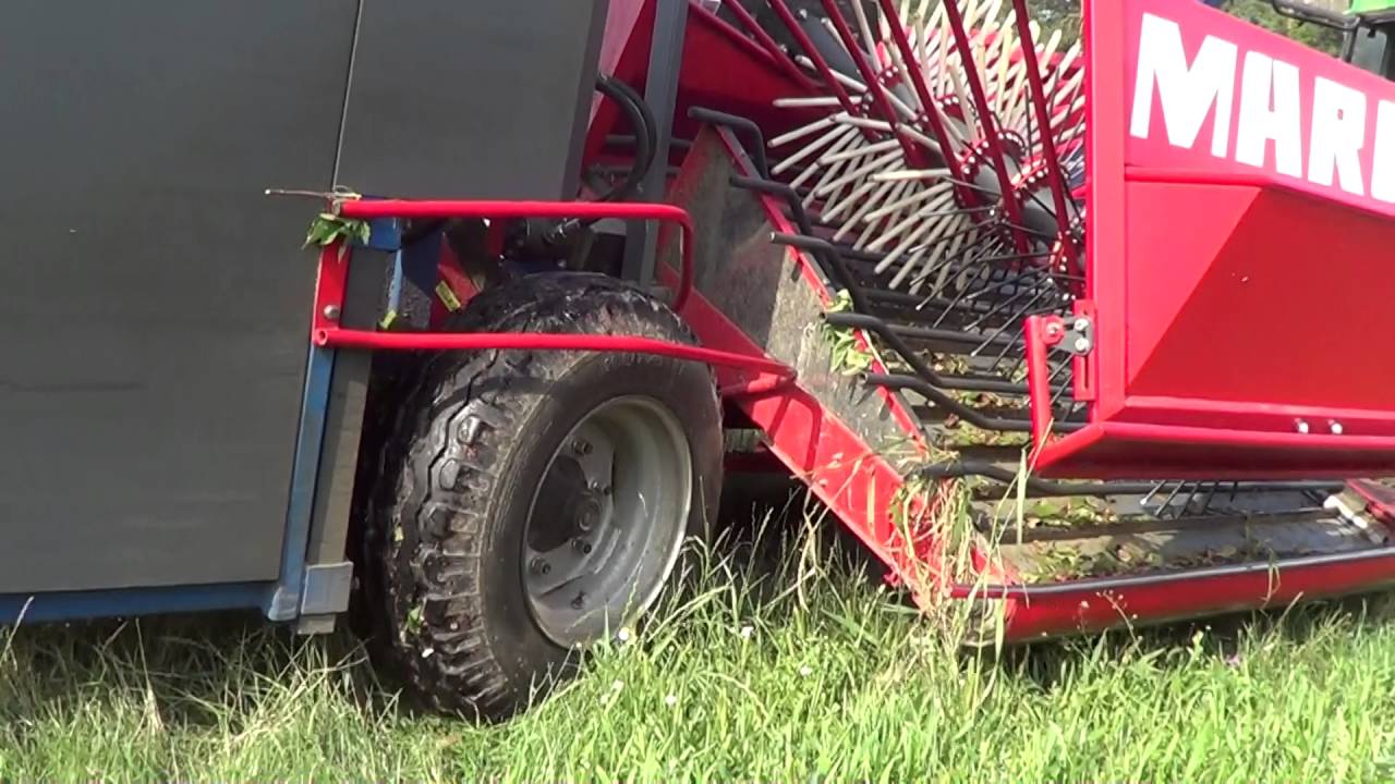 Zbiór Czarnej Porzeczki 2016 ! Kombajn MAREK !