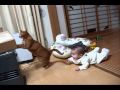 後ろ！後ろ～！！