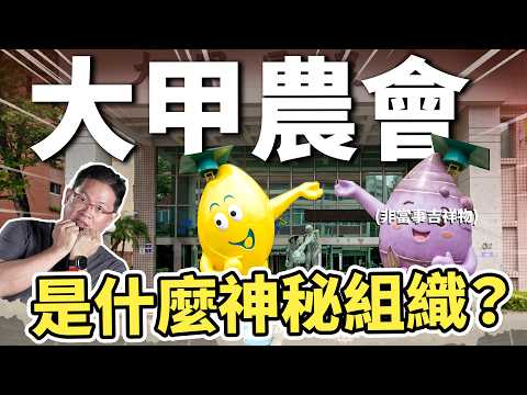 大甲的米不用過濾就滿分？芋頭煮不爛的秘密是什麼？這個農會憑什麼兩條線都這麼強！｜#吃這個好不好 #史達魯