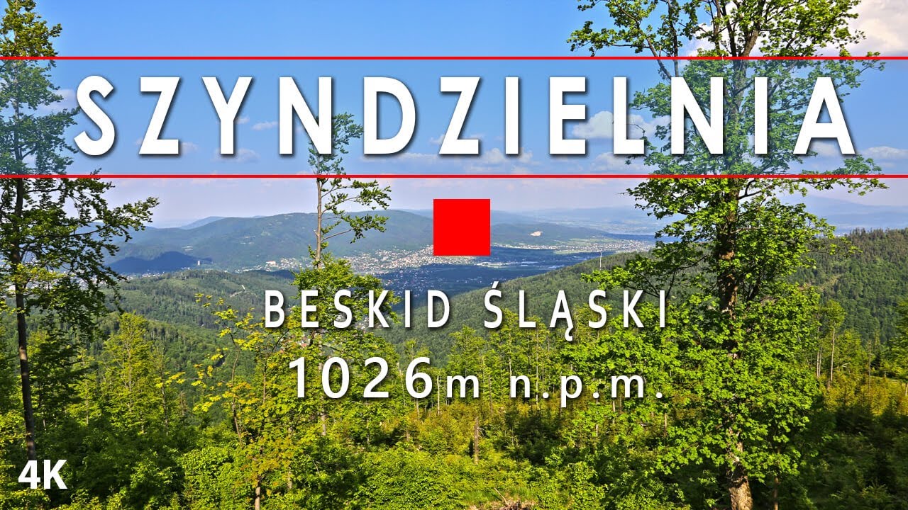 Szyndzielnia, Bielsko-Biała czerwony szlak. Dębowiec, Beskid Śląski, Schronisko