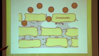 Evolution of Regulations in Nanotechnology