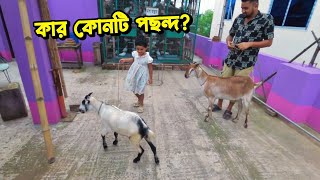 আমাদের কুরবানির ছাগল নিয়ে নিলাম