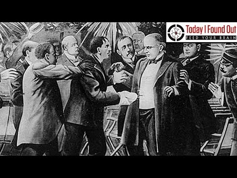 The First Presidential Assassination Attempt