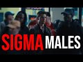 Sigma males  compilation