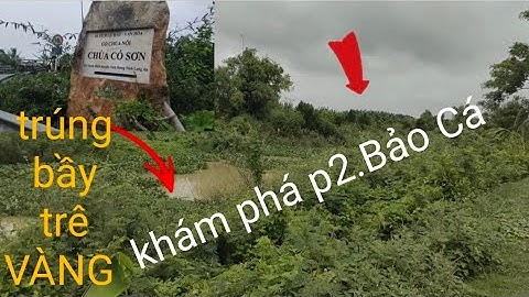 Câu Cá Rô Đồng.Khám phá Cấm Địa Trê Vàng.@tranchungcuchi