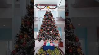 Download Lagu Merry Christmas 🌲 Selamat Natal bagi yang merayakan 🥳 #short #merrychristmas #happynewyear MP3