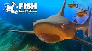 อัพเดทใหม่!! ฉลามครีบดํา กับ ทูน่าแดนปลาดิบ | Fish Feed and Grow #28