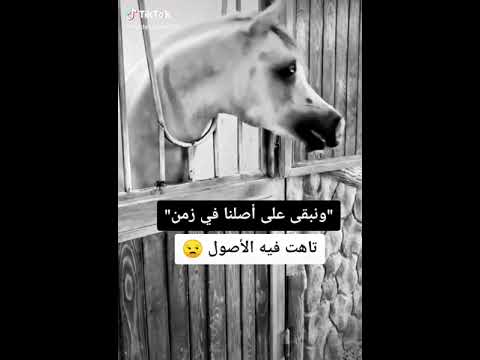 الاصل لا بينباع ولا بينشرى