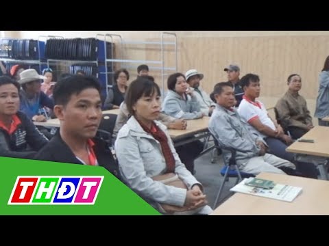 Video Bổ sung hồ sơ dự tuyển đi làm việc ở Hàn Quốc | THDT - youtube