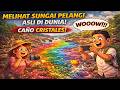 Melihat Sungai Pelangi Asli Di Dunia! Caño Cristales!