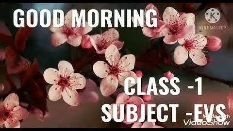 Class 1  EVS  Chapter 18 Part 2