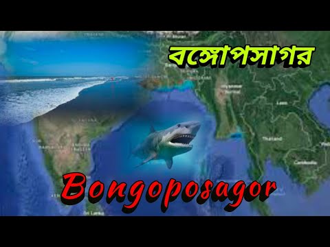 ভিডিও: একটি উপসাগর নির্মাণ কি?