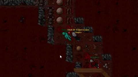 Pkteam Tibia Trimera