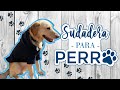 🐾  Haz una sudadera para tu perro  🐶  (moldes + medidas)