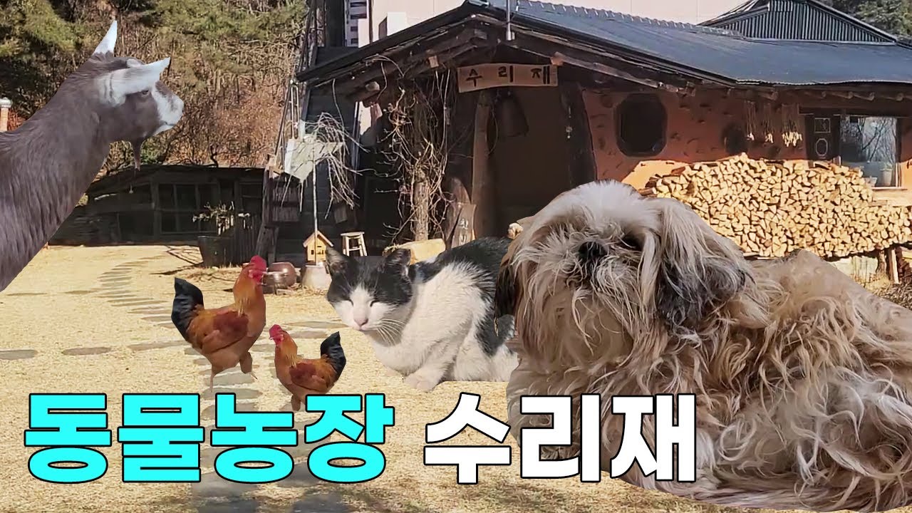 [촌캉스] 부여 수리재 가서 힐링했어요