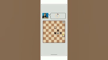 Can you find the checkmate?