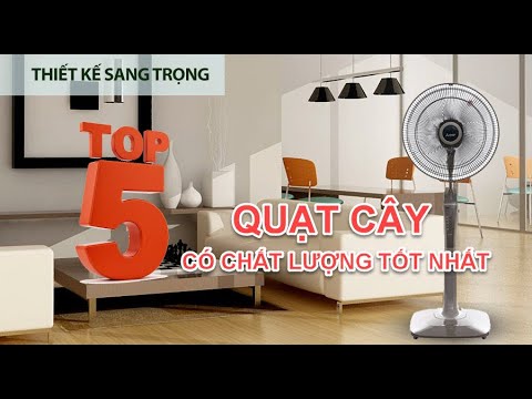 TOP 5 chiếc QUẠT CÂY đáng mua nhất cho mùa hè này || Tư vấn chọn mua