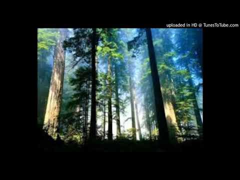 Video de La paz renacerá de Hermanos Devia por Dúo Hermanos Devia