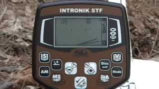 Aka Intronik Stf Identification