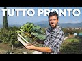 Ho raccolto le prime VERDURE da VENDERE
