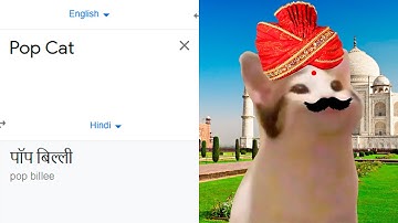 Pop Cat in different languages meme