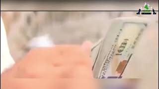 تقرير | امام سلم الرواتب .. هل يحقق المواطن عدالة تنصفه من جور الحكومات الفاسدة ؟