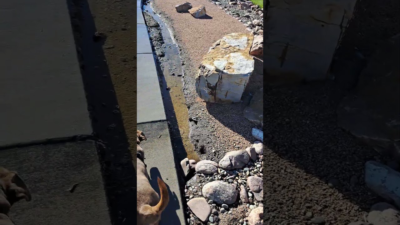 Dry Creek Bed Landscaping Fail 