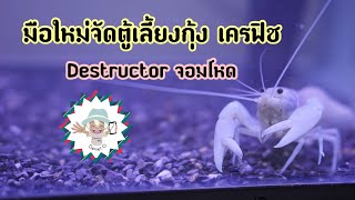 Ep.2 มือใหม่ จัดตู้เลี้ยงกุ้งเครฟิช || destructor ผู้น่ารัก 🤍🤍🤍