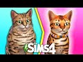 The Sims 4 НОВЫЕ ПИТОМЦЫ | ОТДЫХ НА ОСТРОВАХ