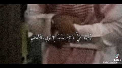 ووهبنا لداوُود سُليمان نِعمَ العبد إنهُ أواب | سورة ص | القارئ سليمان العتيبي 💚