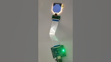 VS021XRM-NW0-6KP0 BOE 2.1 Inch 1600x1600 LCD Display MIPI Interface LCD Panel With Board.#lcdpanel