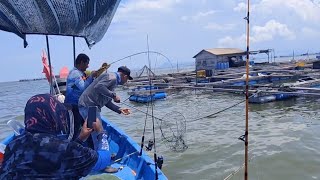 01/05/2024 Trip Mancing at Sangkar Sungai Udang Penang