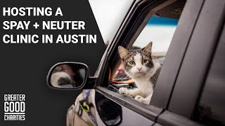 Hosting a Spay and Neuter Clinic in Austin