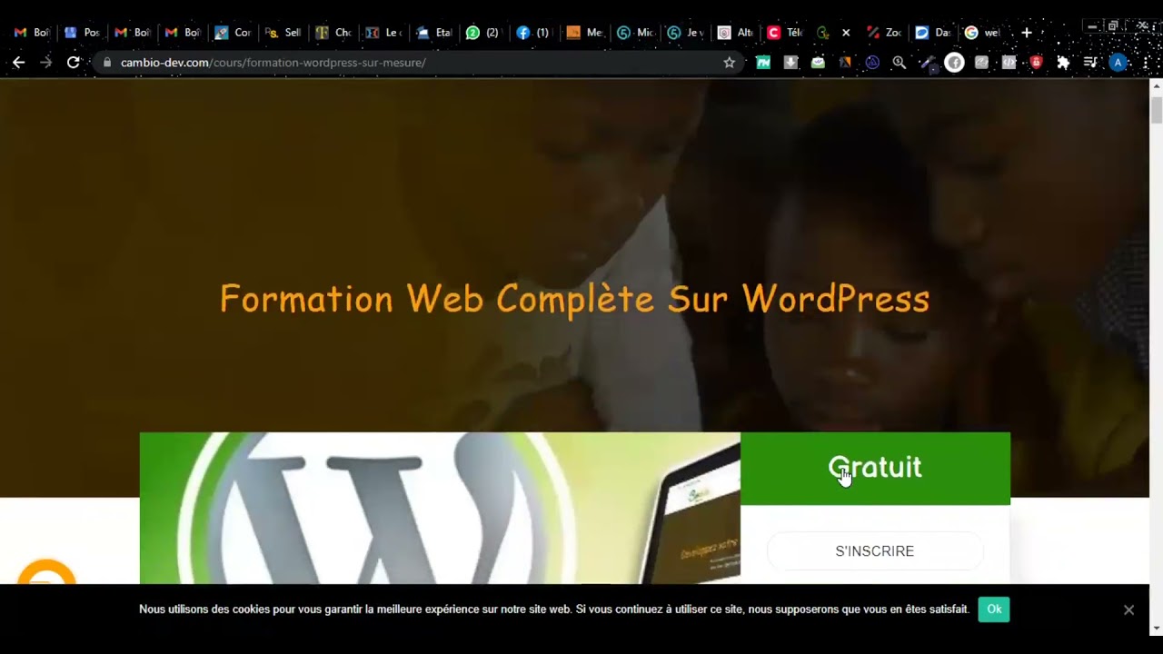 crée et optimiser votre site vitrine ou blog wordpress pour  votre activité