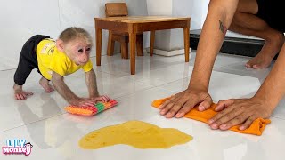 Smart monkey Lily helps dad clean the floor while mom is away