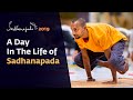 A Day In The Life of Sadhanapada