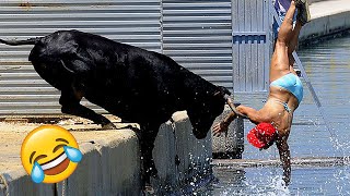 Best Funny Videos🤣 Try Not To Laugh🤣 Funny \& Hilarious People's Life 😂#54