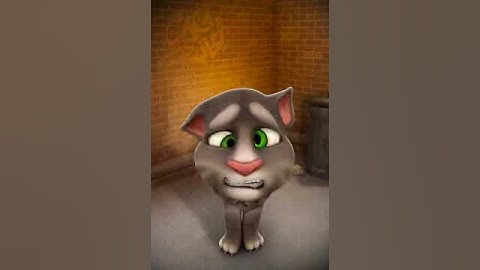 Hi my name Is my tom:)