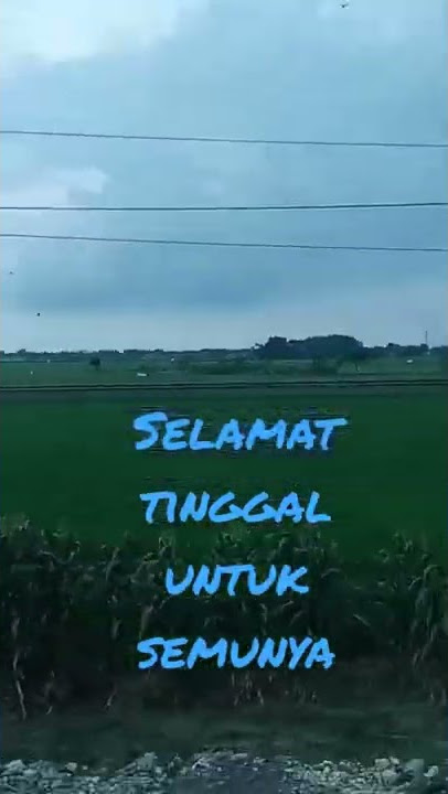 #pamit #broerymarantika #laguviraltiktok