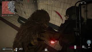 Modern Warfare - Warzone execution only win