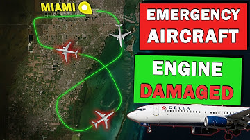 Bird Strike and ENGINE DAMAGED on Takeoff | Emergency Return to Miami