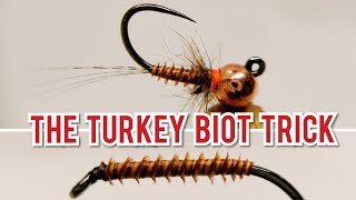 THE TRICK WITH TURKEY BIOT (NYMPH)