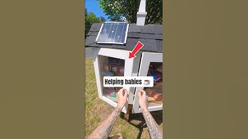 Helping babies and struggling people in need !#dumpsterdiving #food #coffee #baby #babies #help