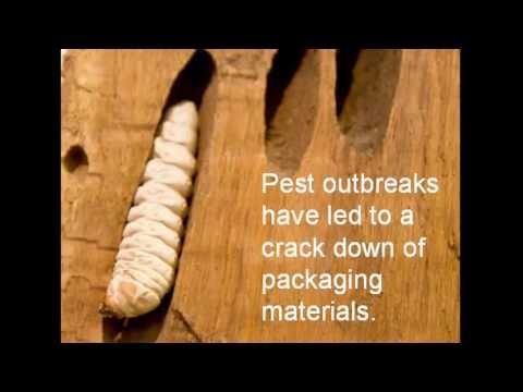 Video: Adakah kayu palet dirawat dengan bahan kimia?