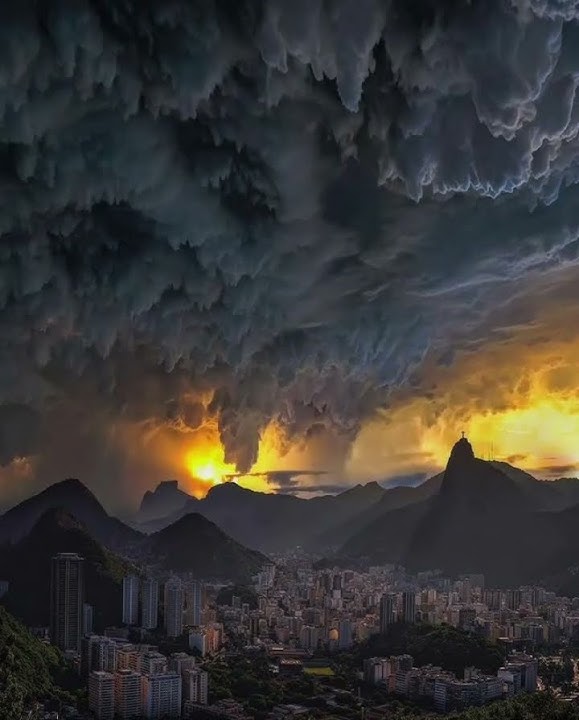 Apocalypse is near, Nature reboots credit to nowspacetime #earth #apocalypse #nature #strangerthings