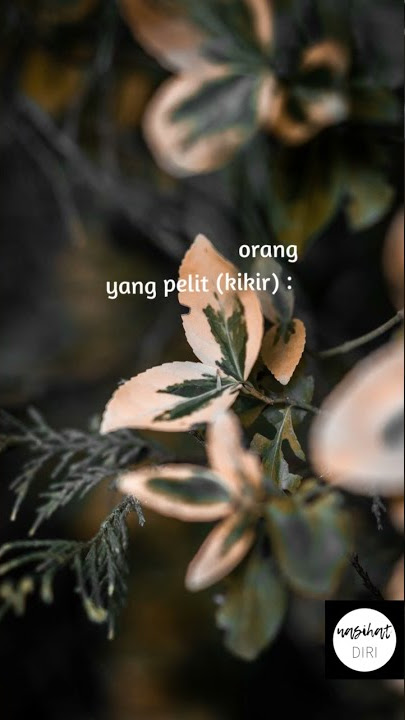 quotes islami | status wa islami menyentuh hati ~ Penyakit yang akan dialami orang pelit #shorts