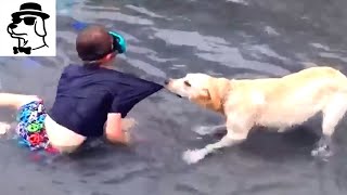 Dog Saves And Protects Owner From Drowning - Videos Compilation by PTB My Pet 137 views 3 years ago 3 minutes, 47 seconds