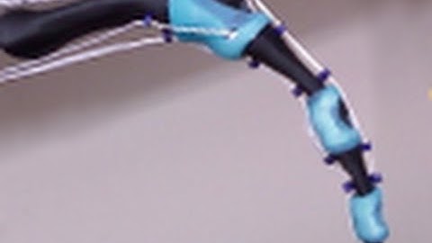 Anthropomorphic Robotic Finger with Bio-mimetic Joints