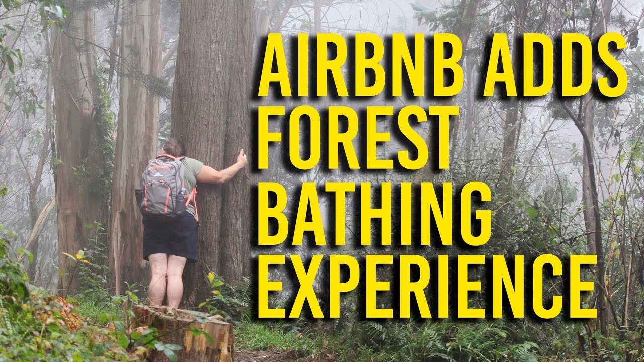Airbnb adds 'experiences' like forest bathing to offerings - YouTube